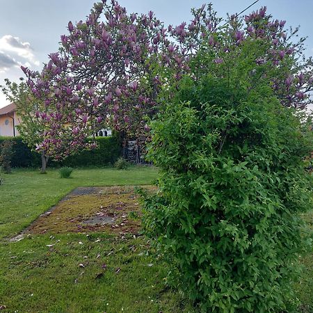 A House, Free Parking, Sauna Копривница Экстерьер фото