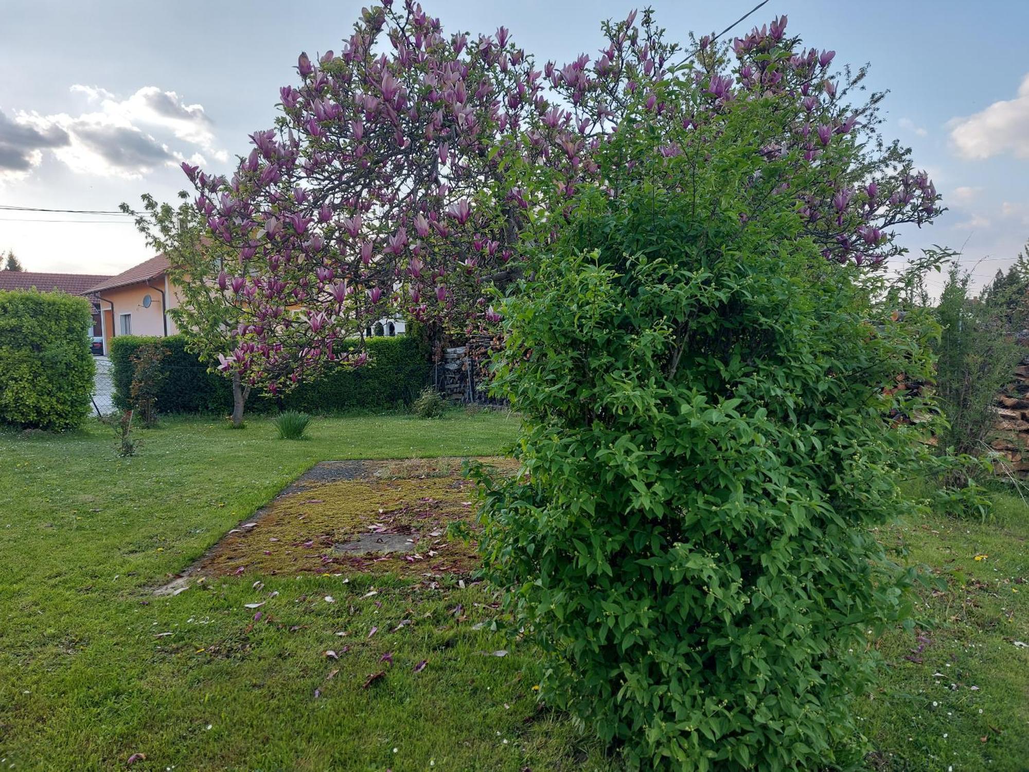 A House, Free Parking, Sauna Копривница Экстерьер фото